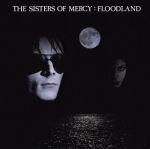 sisters of mercy